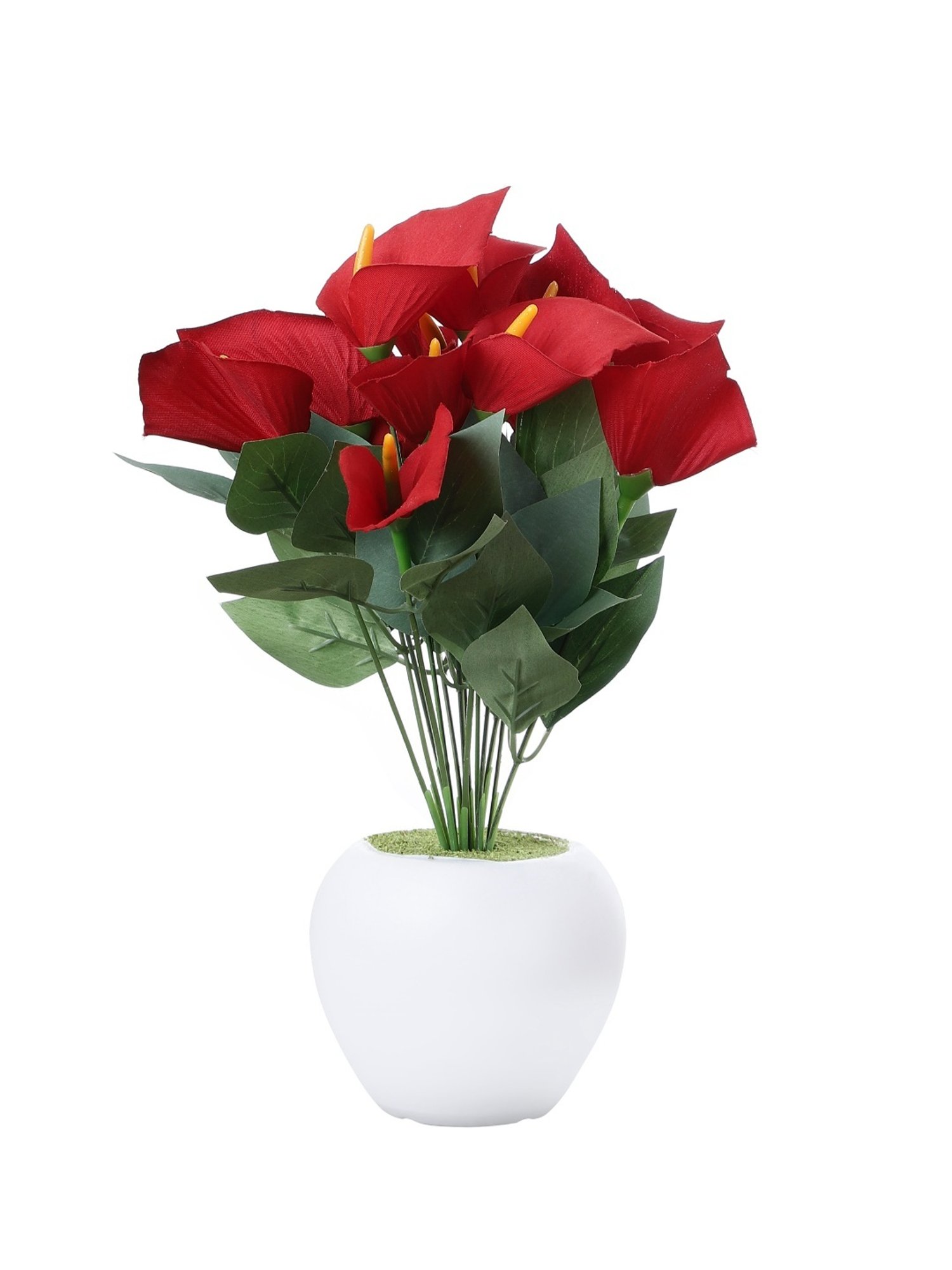 Foliyaj Multicolor Plastic Artificial Anthurium