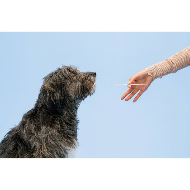 Wisdom Panel Essential for Ancestry Traits Dog DNA Test