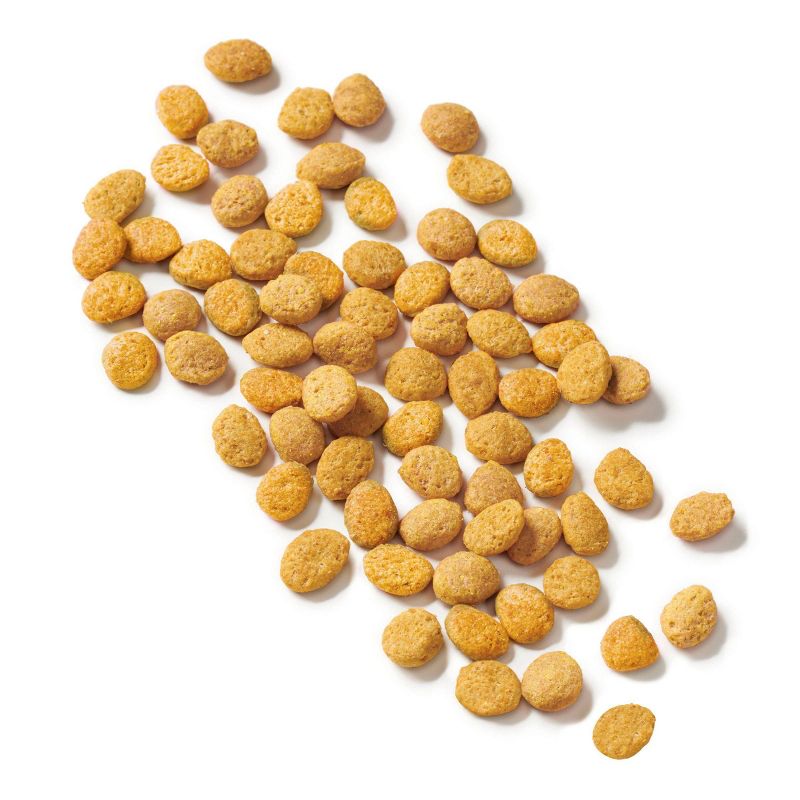 Cat Chow Senior Dry Cat Food - 13lbs