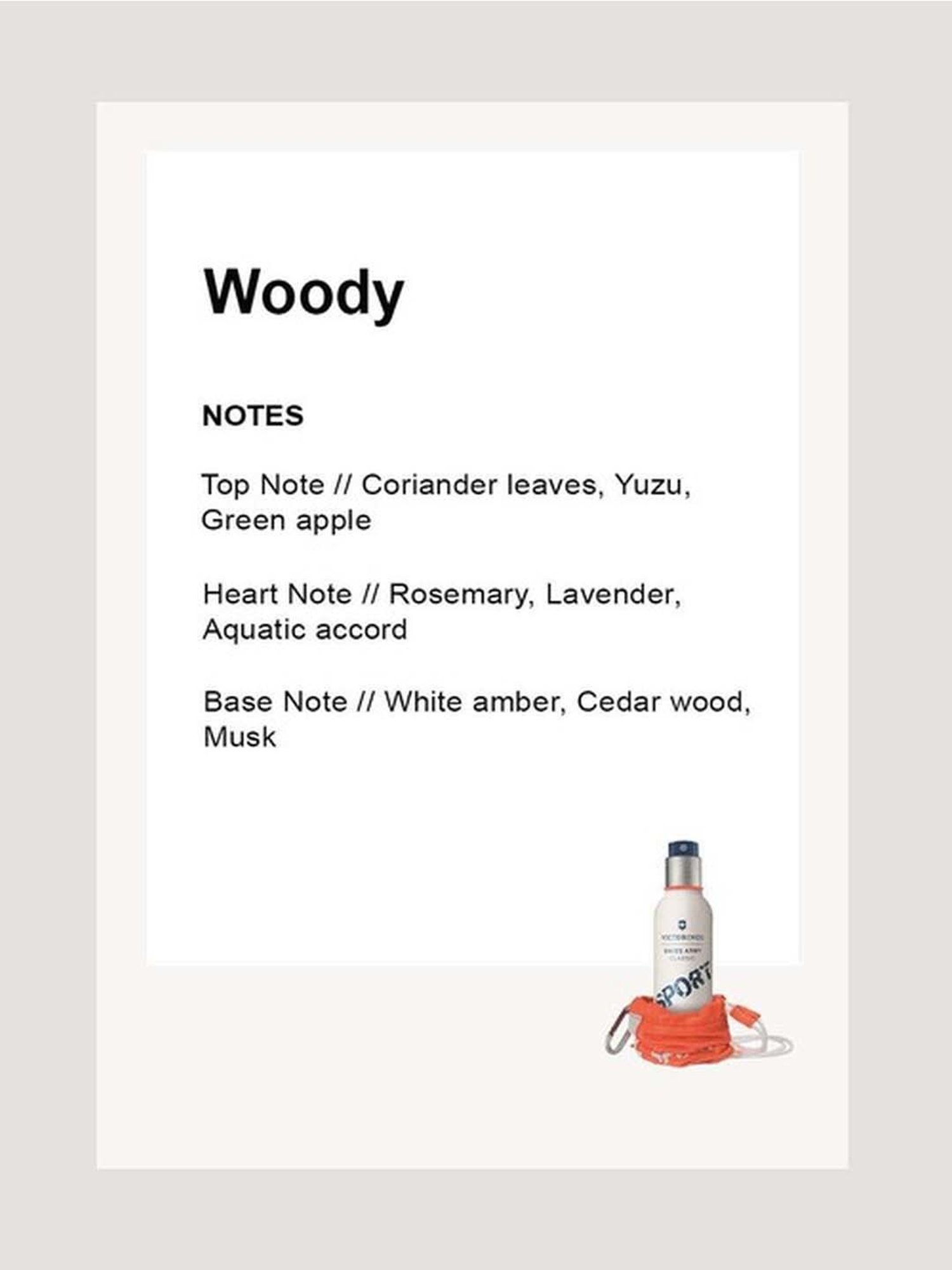 Classic Sport Eau de Toilette for Men - 100 ml