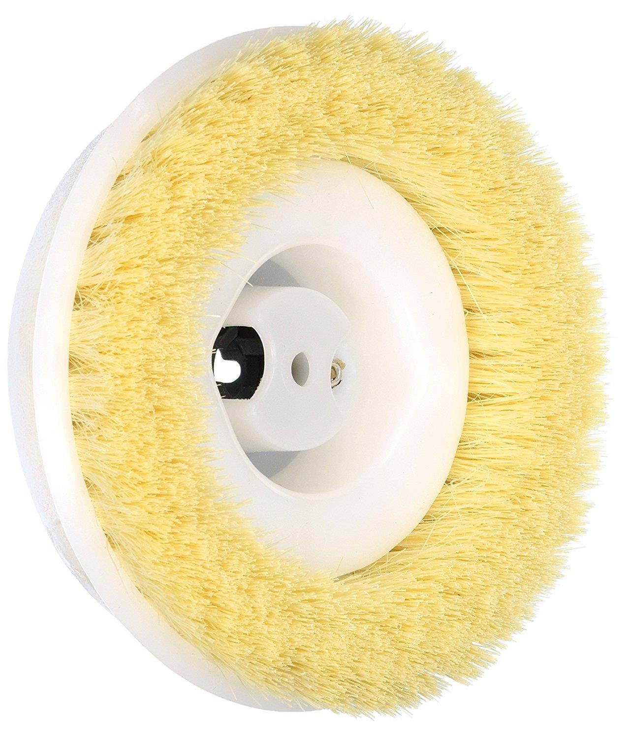 Thorne 45-0135-9 Koblenz Genuine Polishing Brushes Pack of Two