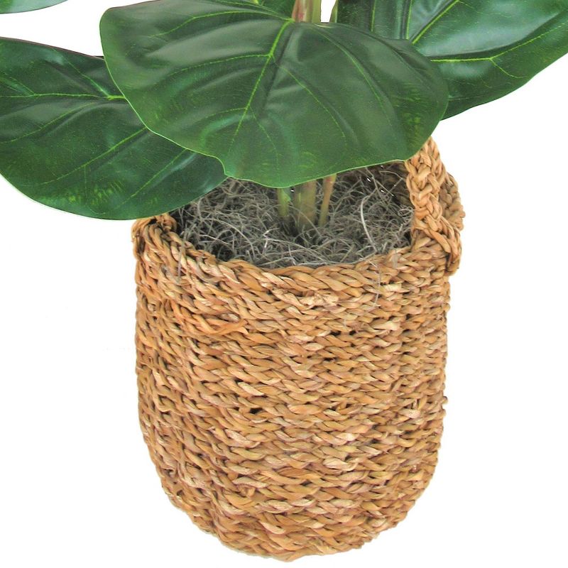 30" x 16" Artificial Fig Plant in Basket with Handles - LCG Florals