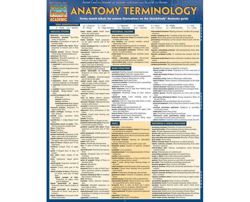 Anatomy Terminology Reference Guide - by  Kate McPike (Poster)