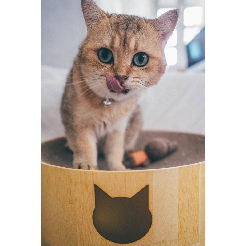 PETKIT Flying Fish Cat Scratcher - White/Blue