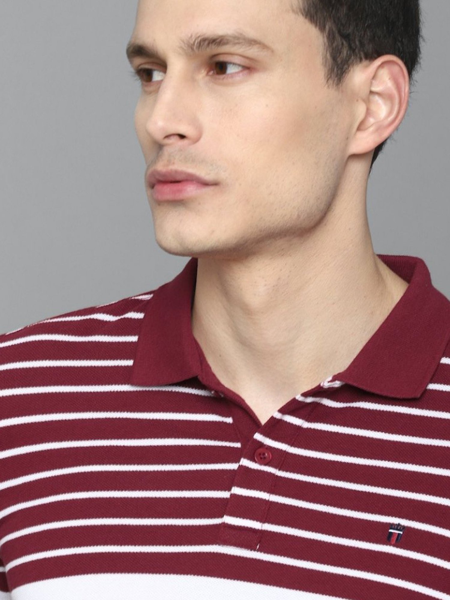 Louis Philippe Sport Multi Cotton Slim Fit Striped Polo T-Shirt