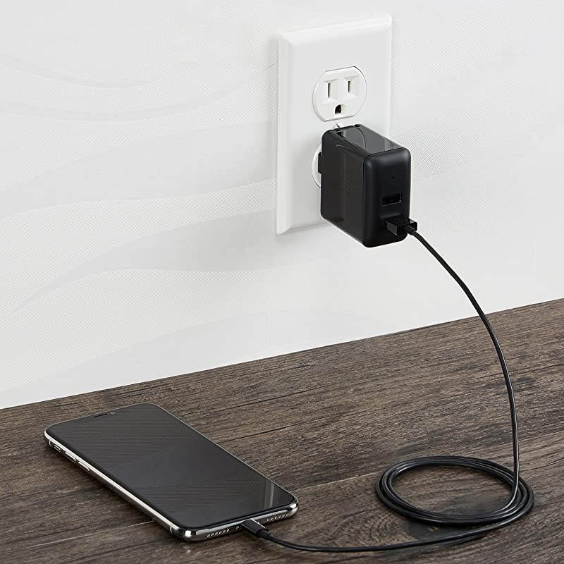 Basics Dual-Port USB Wall Charger for Phone, iPad, and Tablet, 2.4 Amp, Black