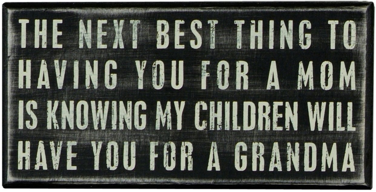 The Next Best Thing Box Sign by Primitives by Kathy