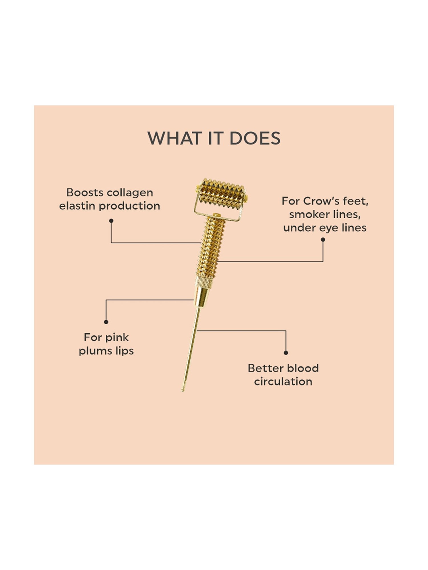 Bronson Professional 2-in-1 Soft Bristles Face Cleansing Brush (Color May Vary)