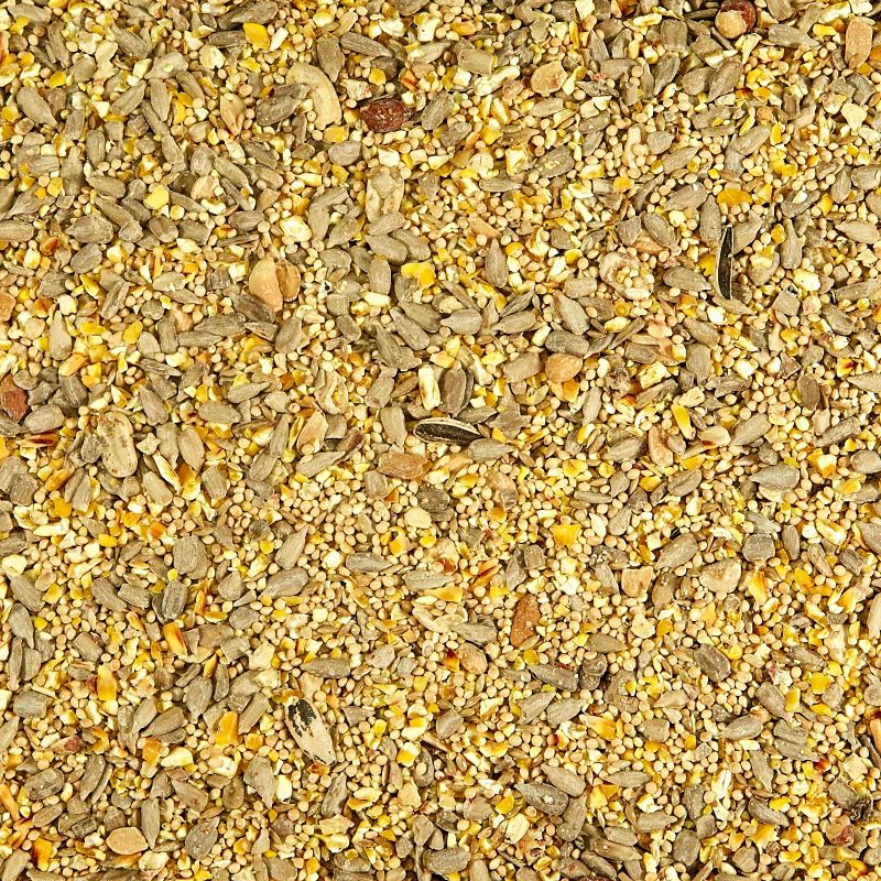 Kaytee Wild Bird Food Waste Free Blend - 10 lbs