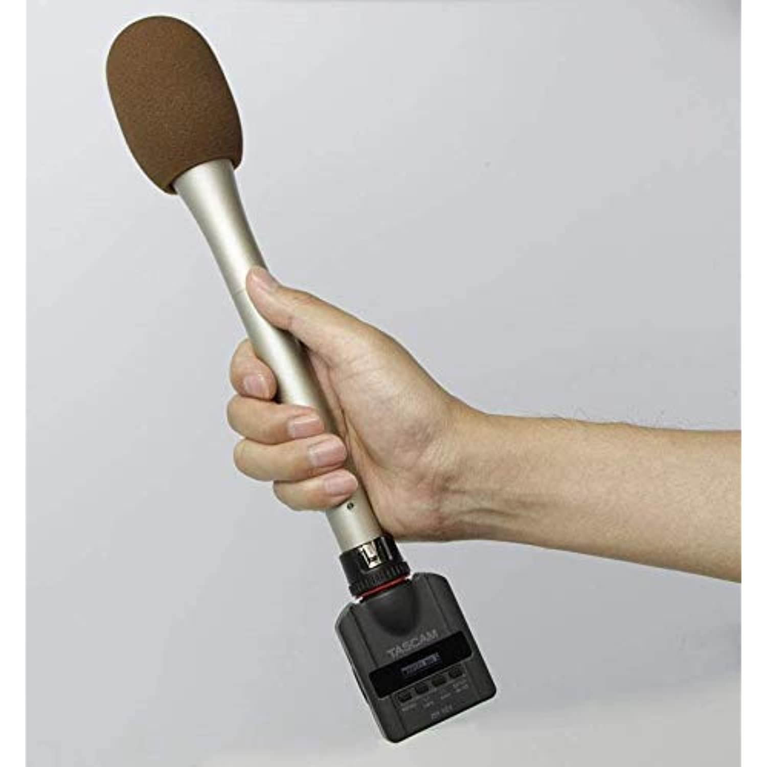 Tascam DR-10X Plug-On Linear PCM Digital Audio Recorder for XLR Microphones