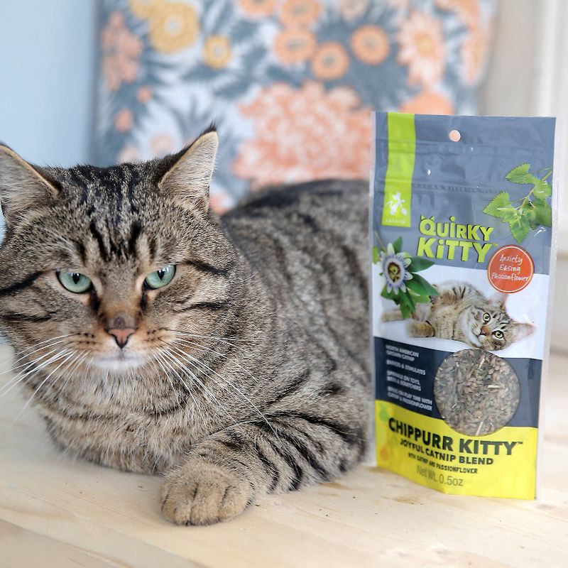 Quirky Kitty Chippurr Kitty North American Catnip with Passionflower Blend Cat Treats - 0.5oz