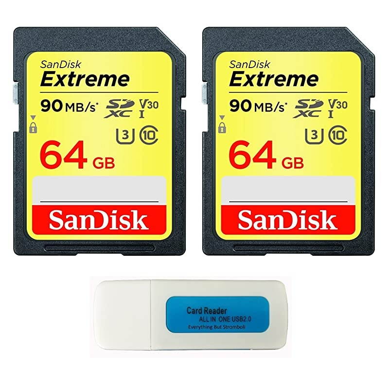 Extreme 64GB (2 Pack) SDXC UHS-I Card SDSDXVE-064G-GNCIN Bundle with (1) Everything But Stromboli Combo Card Reader