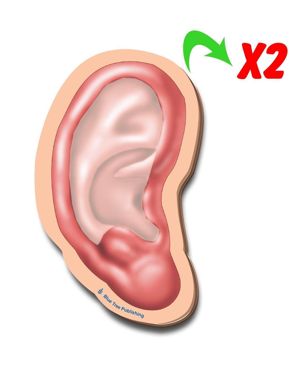 Ear Sticky Notes, 2 Pack-100 Sheets Per Pack