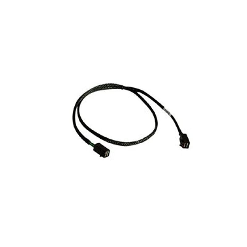 00404 Serial Attached SCSI SAS Cable
