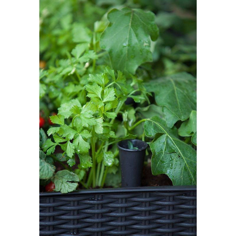 Rectangular Easy Grow Elevated Garden Bed Anthracite - Keter