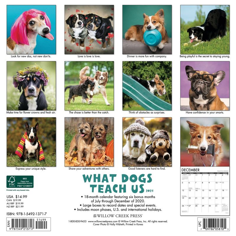 2021 Monthly Wall Calendar What Dogs Teach Us - Willow Creek Press
