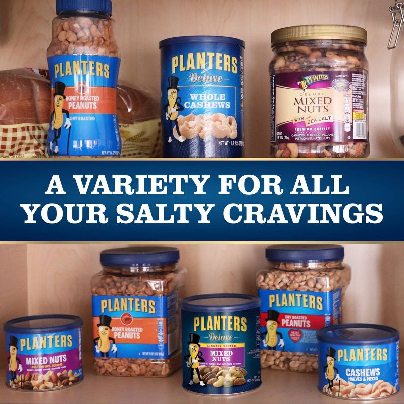 Planters Deluxe Lightly Salted Mixed Nuts-15.25oz