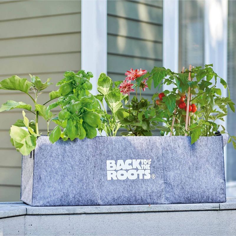 Back to the Roots Fabric Raised Garden Bed Planter