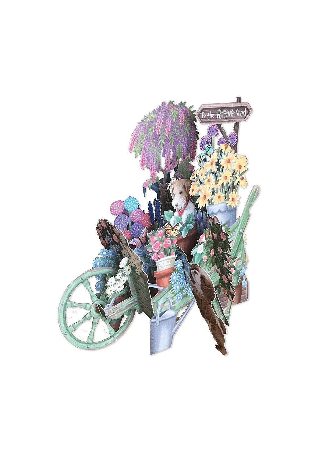 Paper D'Art 3D Pop Up Birthday Card