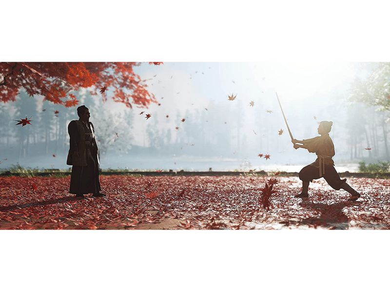 Ghost Of Tsushima Director's Cut - PlayStation 4