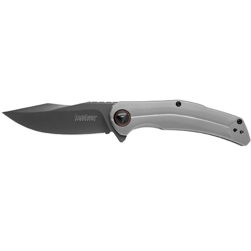 Kershaw Believer Assisted 3.25 in Blade Stainless Handle
