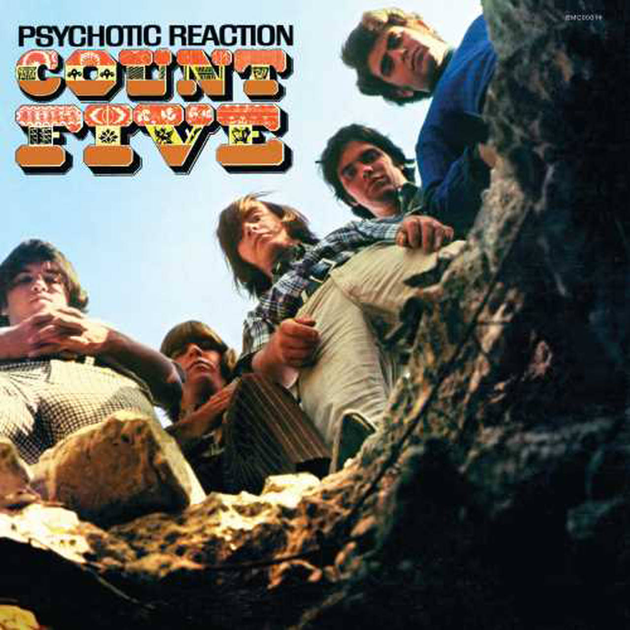 Count Five Psychotic Reaction 180g LP (Vinyl)