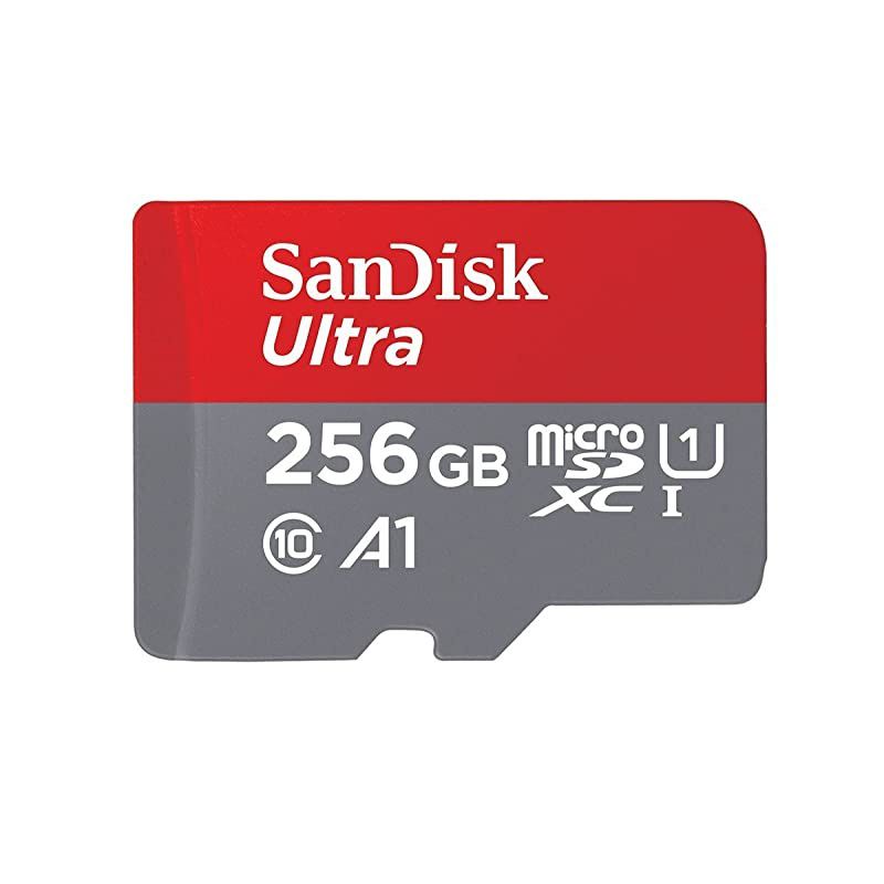 256GB SDXC Micro Ultra Memory Card Works with Samsung Galaxy A50 A40 A30 Cell Phone Class 10 SDSQUA4256GGN6MN Bundle with 1 Everything But Stromboli MicroSD and SD Card Reader