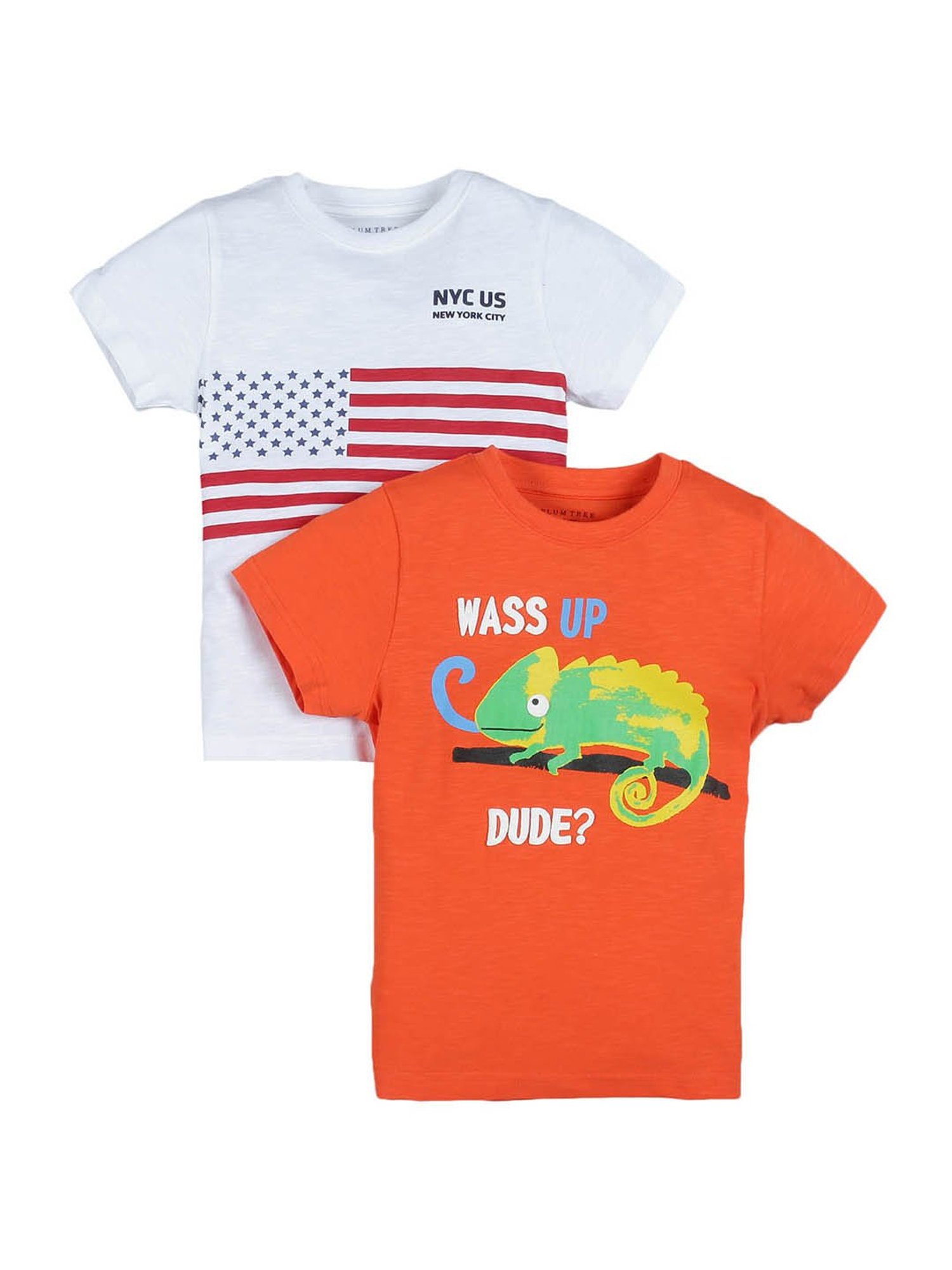 Plum Tree Kids Orange & White Printed T-Shirt (Pack Of 2)