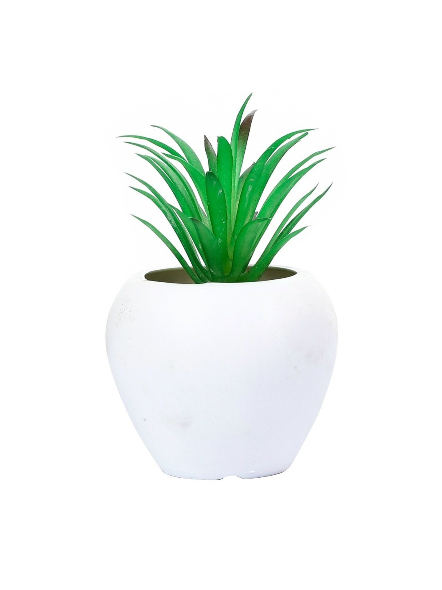 Foliyaj Multicolor Plastic Artificial Cactus Plants with Metal Holder - Set of 2