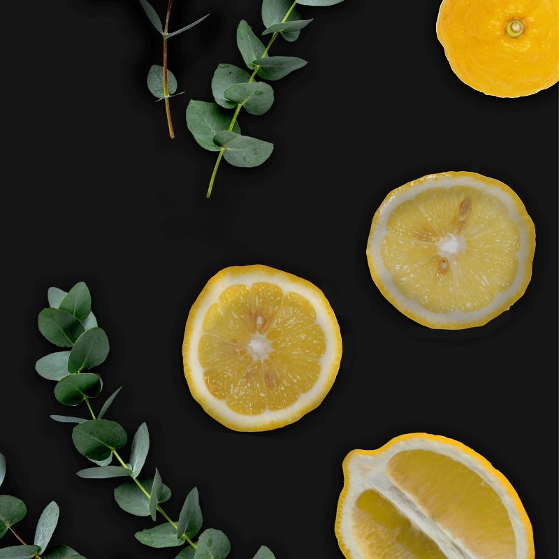 Drano Snake Plus Tool + Gel System