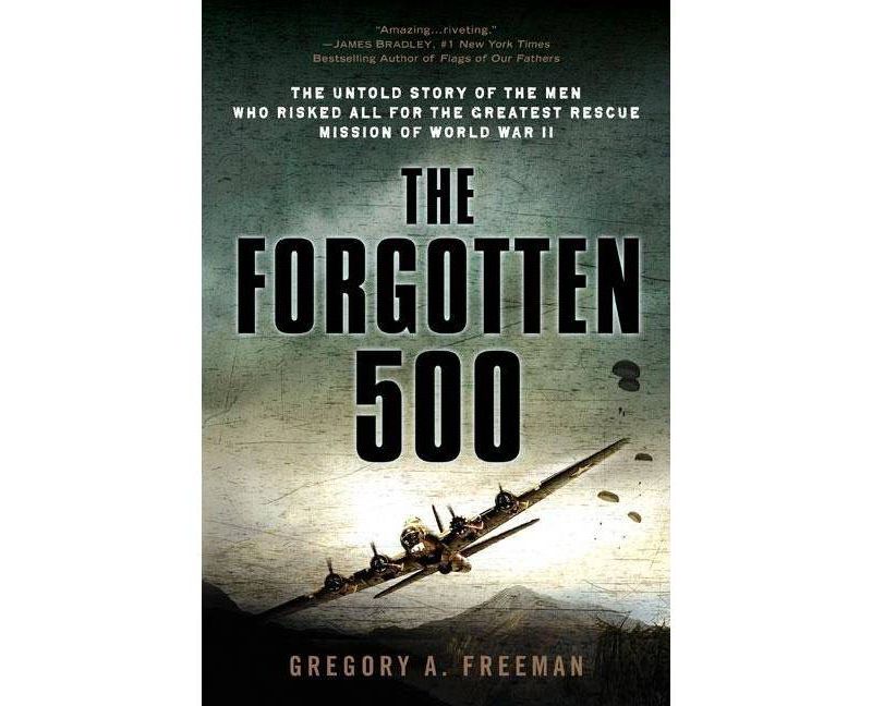 The Forgotten 500 - by Gregory A Freeman (Paperback)