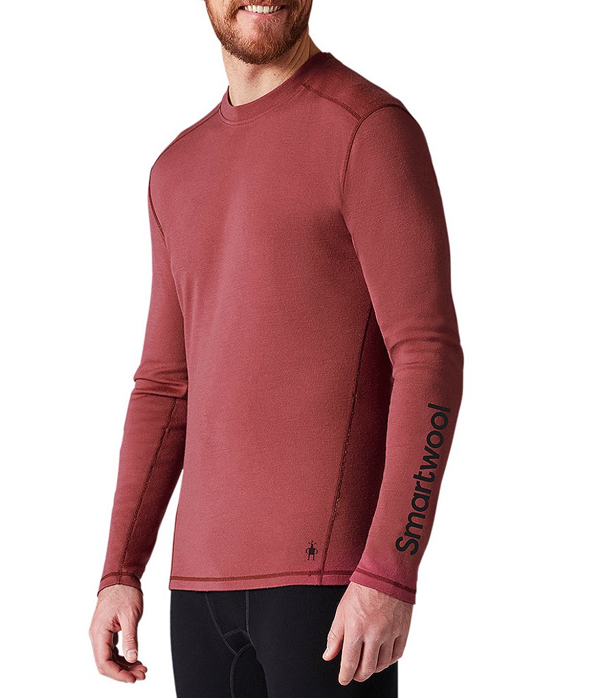 Smartwool Slim-Fit Merino Wool 250 Baselayer Solid Plant-Based Dye Logo Tee