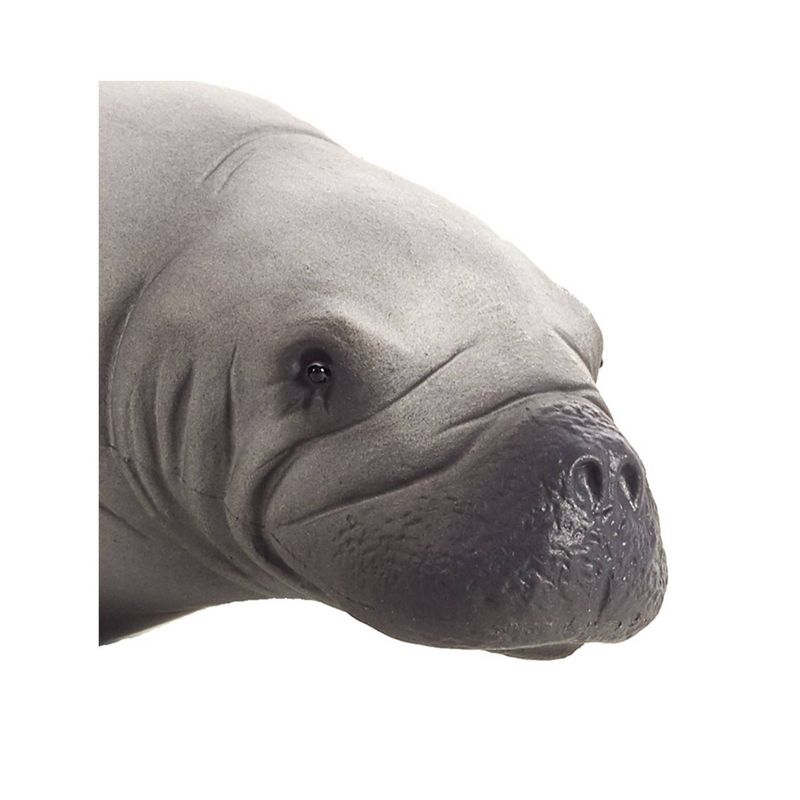 Mojo Dinosaur Manatee Realistic International Wildlife Figure