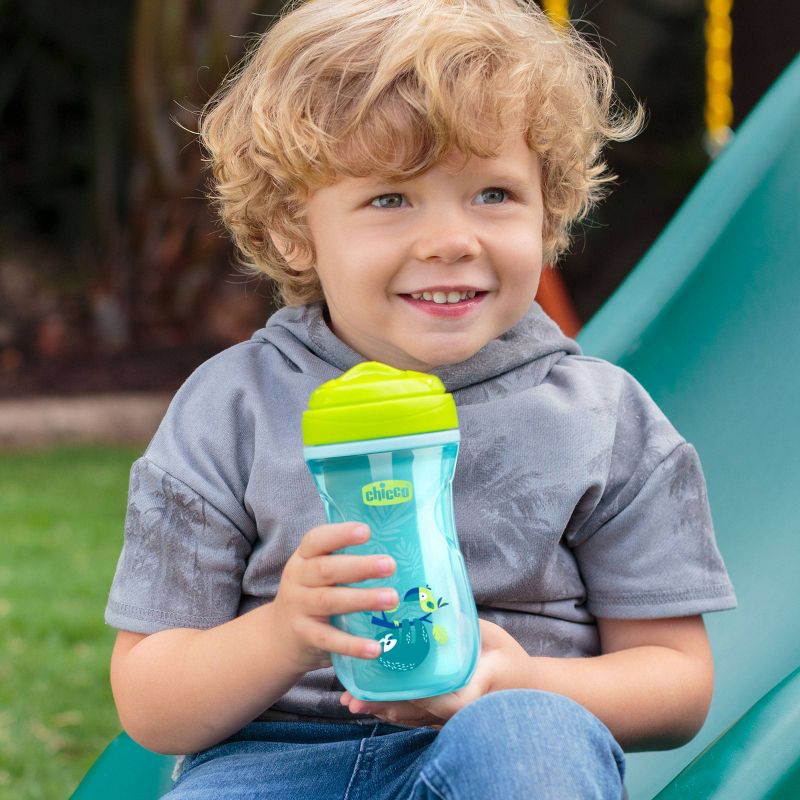 Chicco Insulated Rim Spout Trainer Sippy Cup - 9oz 12m+ Green