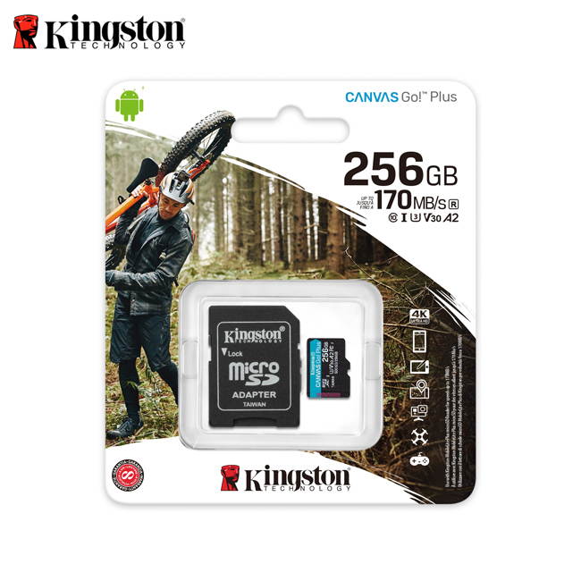 256GB MICROSDXC CANVAS GO PLUS 170R A2