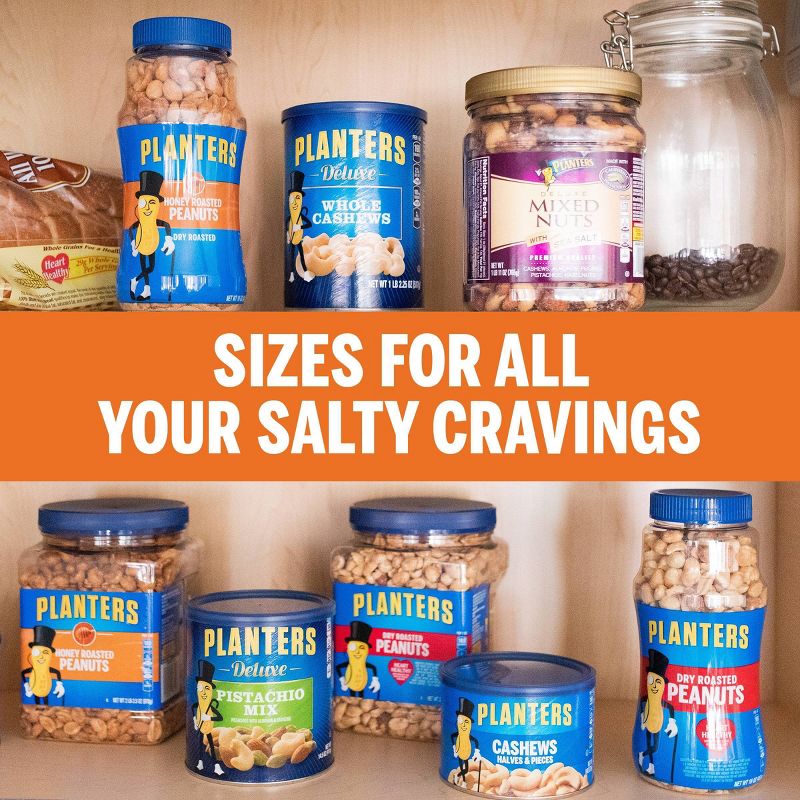 Planters Honey Dry Roasted Peanuts - 16oz