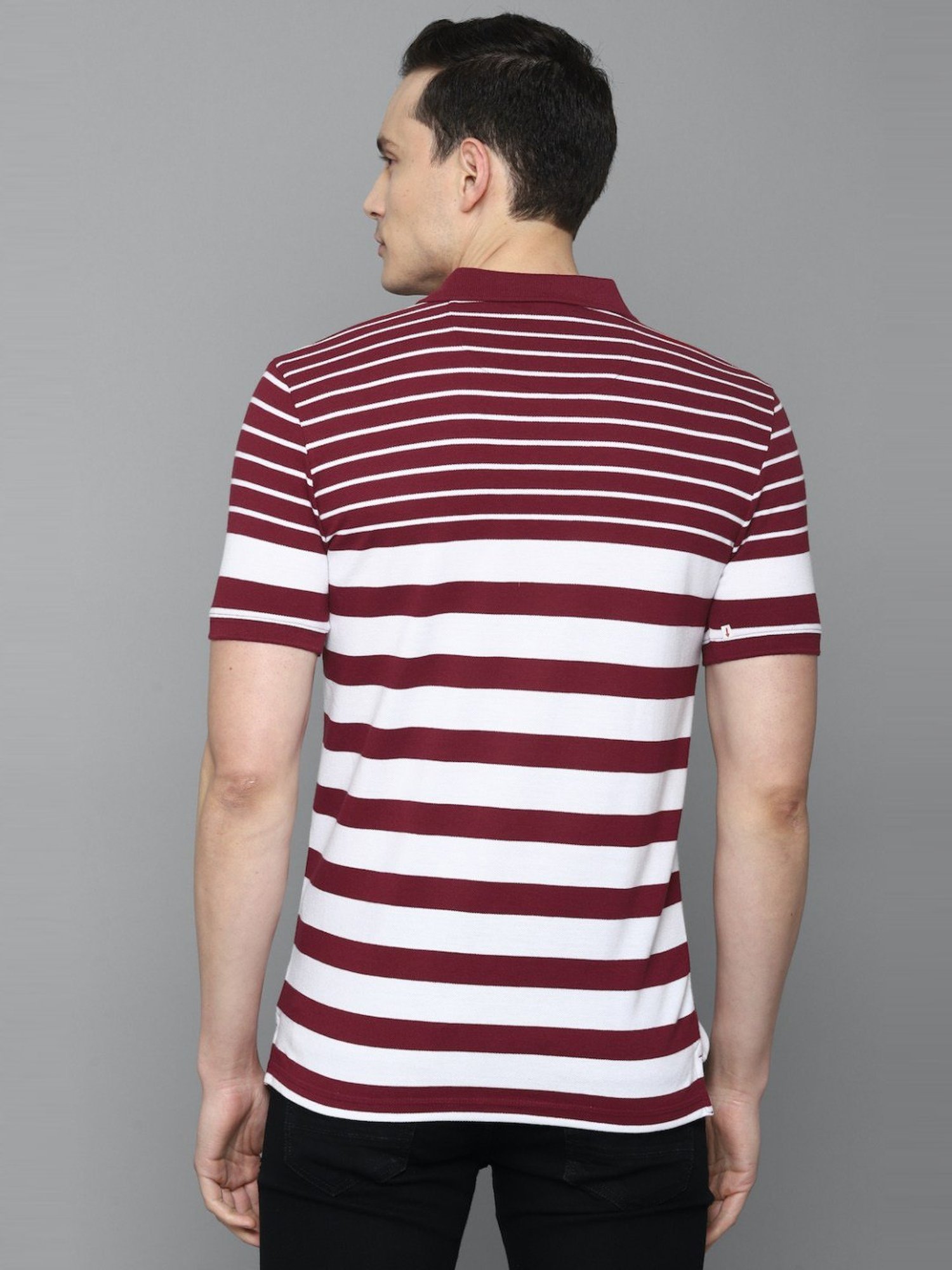 Louis Philippe Sport Multi Cotton Slim Fit Striped Polo T-Shirt