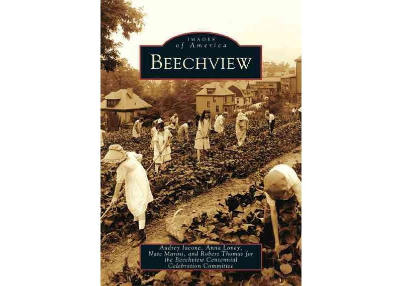 Beechview - by Audrey Iacone (Paperback)