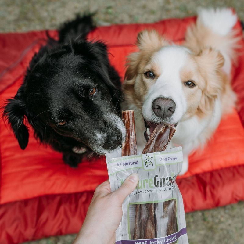 Nature Gnaws Jerky Chews 9-10" Beef Dog Treats- 20ct