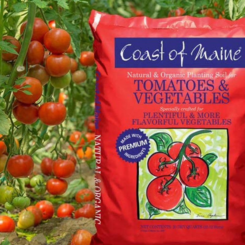 Coast of Maine OMRI Listed Tomato and Vegetable Plant Potting Soil Compost Blend for Container Gardens and Flower Pots, 20 Quart Bag (2 Pack)