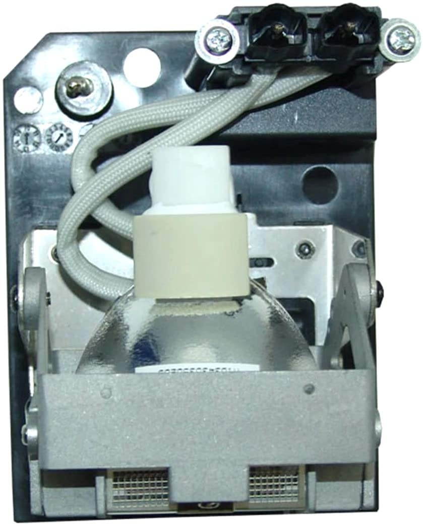 Emazne POA-LMP117/VPL1687 Projector Replacement Compatible Lamp with Housing for Sanyo NEC NP4000 NEC NP4001 Sanyo PDG-DXT1000CL Sanyo PDG-DWT50L Sanyo PDG-DXT10L
