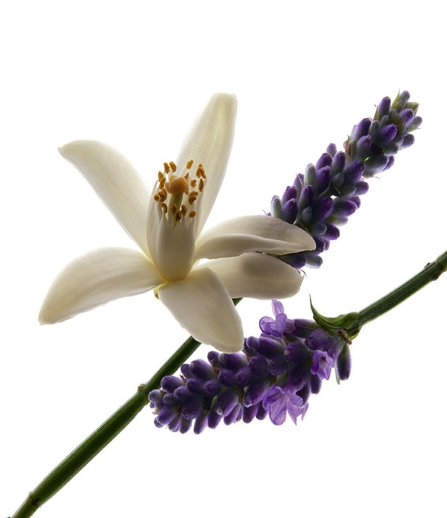 Viktor & Rolf Flowerbomb Eau de Parfum 3-Piece Gift Set