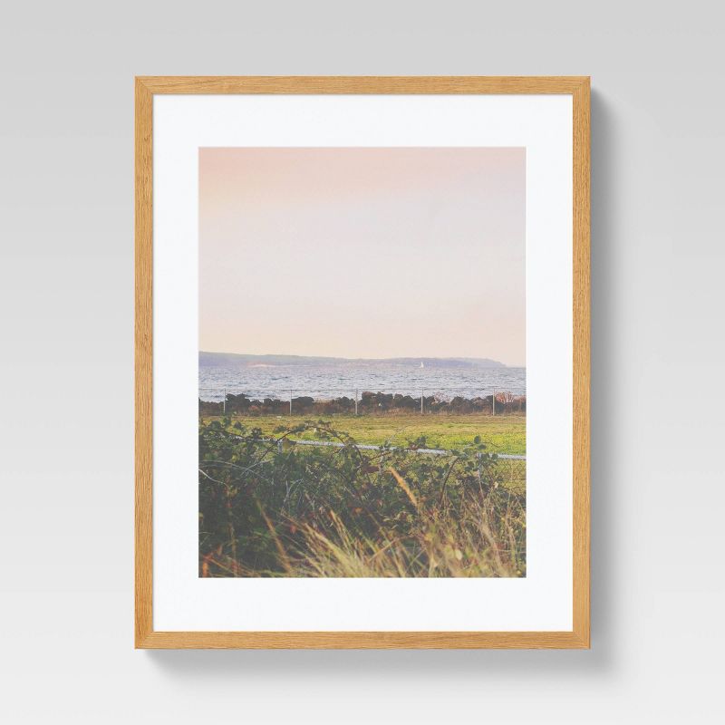 (Set of 2) 16" x 20" Landscape Photography Framed Wall Art Pink - Threshold™