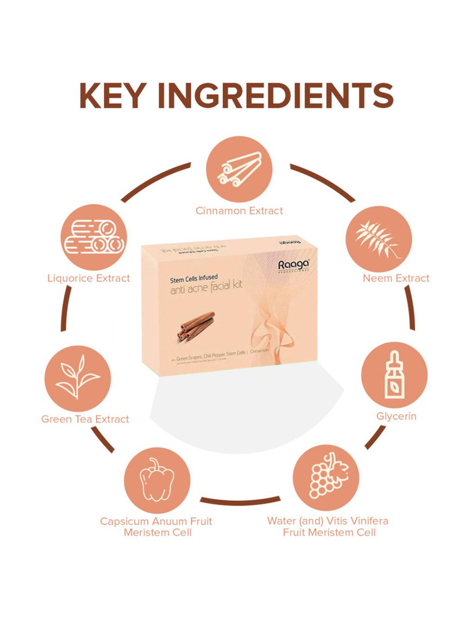 Raaga Professional Stem Cells Infused Anti Acne Facial Kit