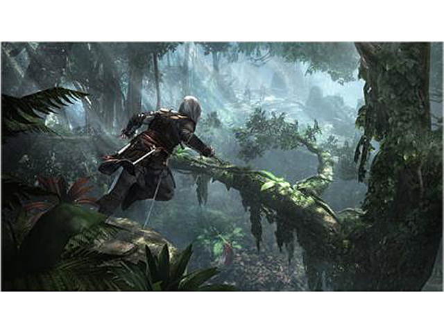 Assassin's Creed IV: Black Flag PC Game