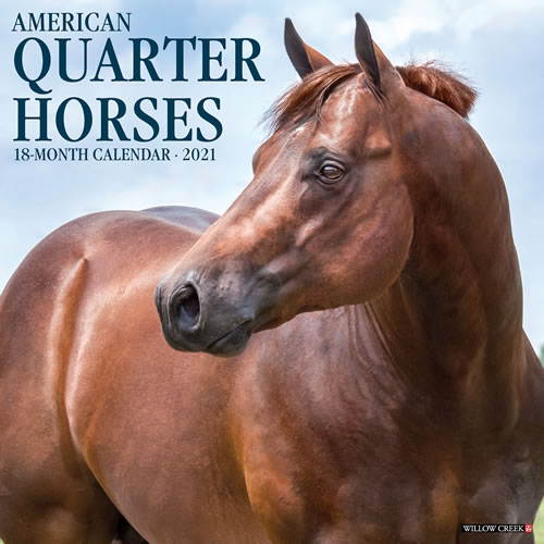 2021 American Quarter Horses Wall