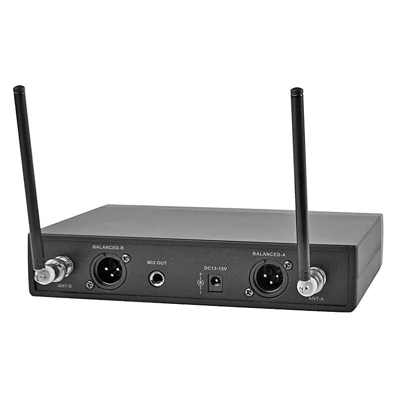 200-Channel Professional UHF Wireless Microphone System with 2 Headset Mics/Bodypacks, for Church, Business Meeting, Outdoor Wedding and Karaoke