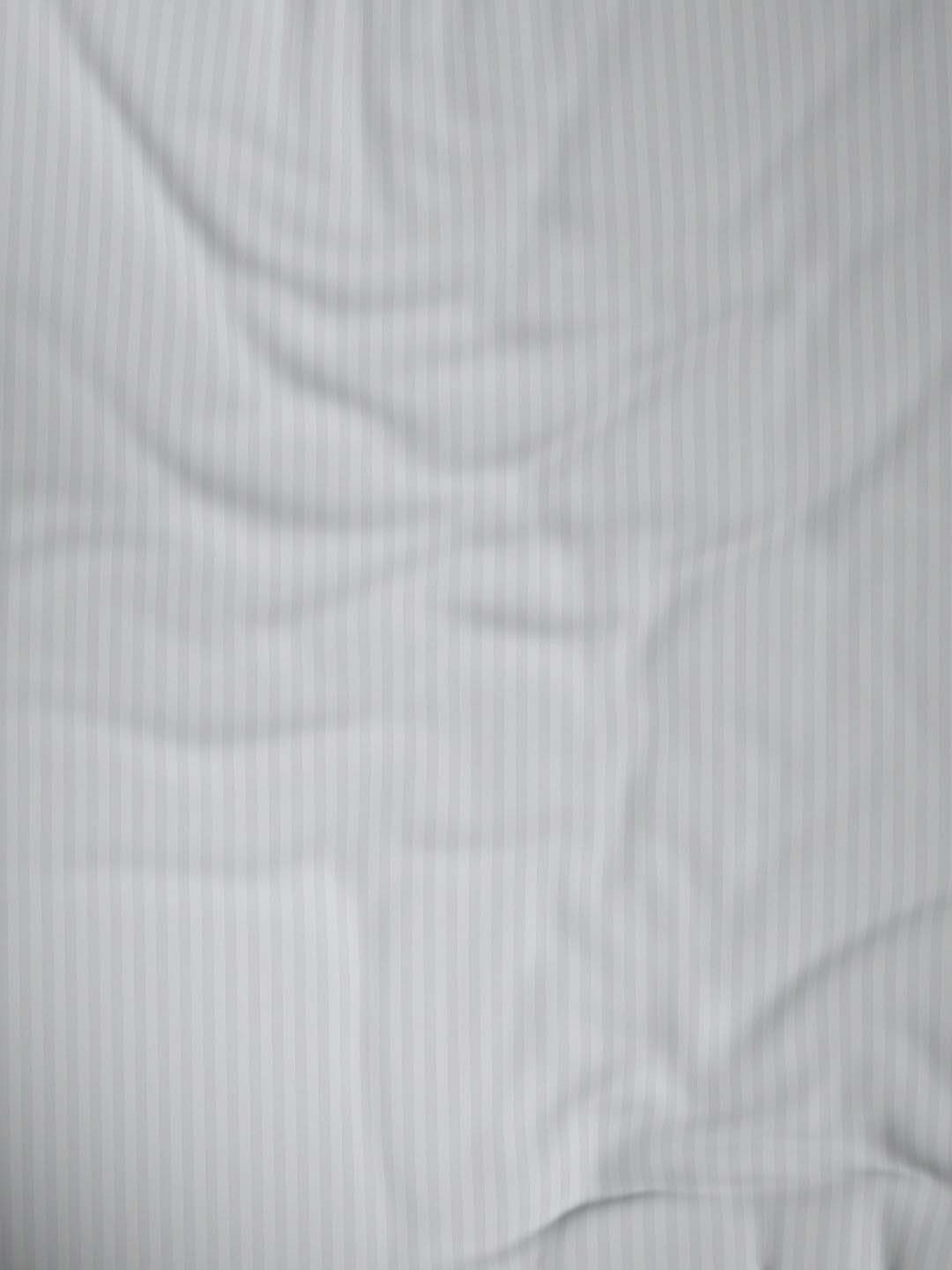 My Room Off White 100% Cotton 300 TC King Bedsheet with 2 Pillow Covers