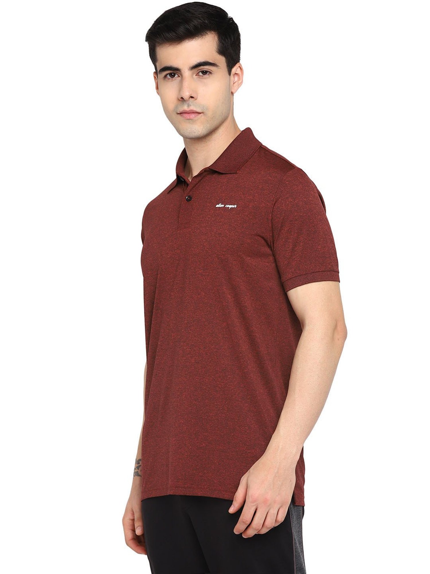 Allen cooper Rust Regular fit Polo T-Shirt