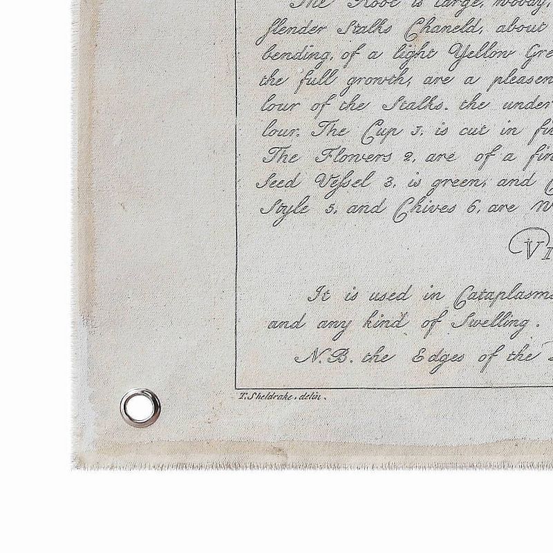 Set of 2 Styles Botanical Descriptions on Canvas with Grommets Decorative Wall Art - 3R Studios